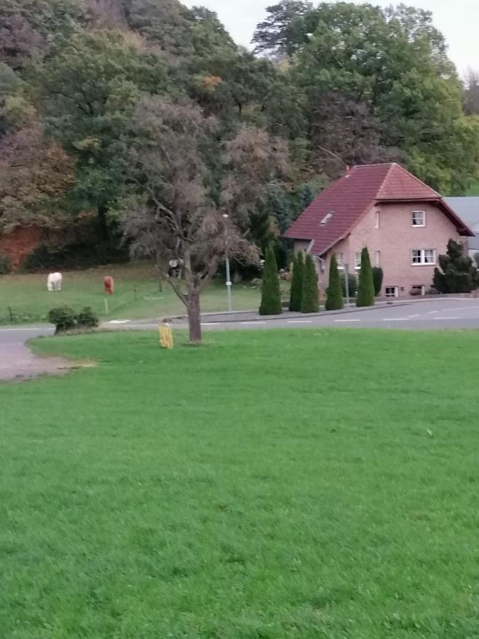 Ferienwohnung Eva Mechernich Exterior foto